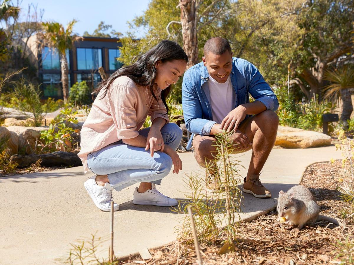 Hotel Wildlife Retreat At Taronga à Cité de Cité de Sydney Extérieur photo